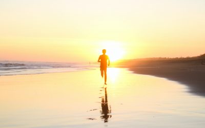 Nueva temporada, Nueva web de la Fundación C.D. Dominicos